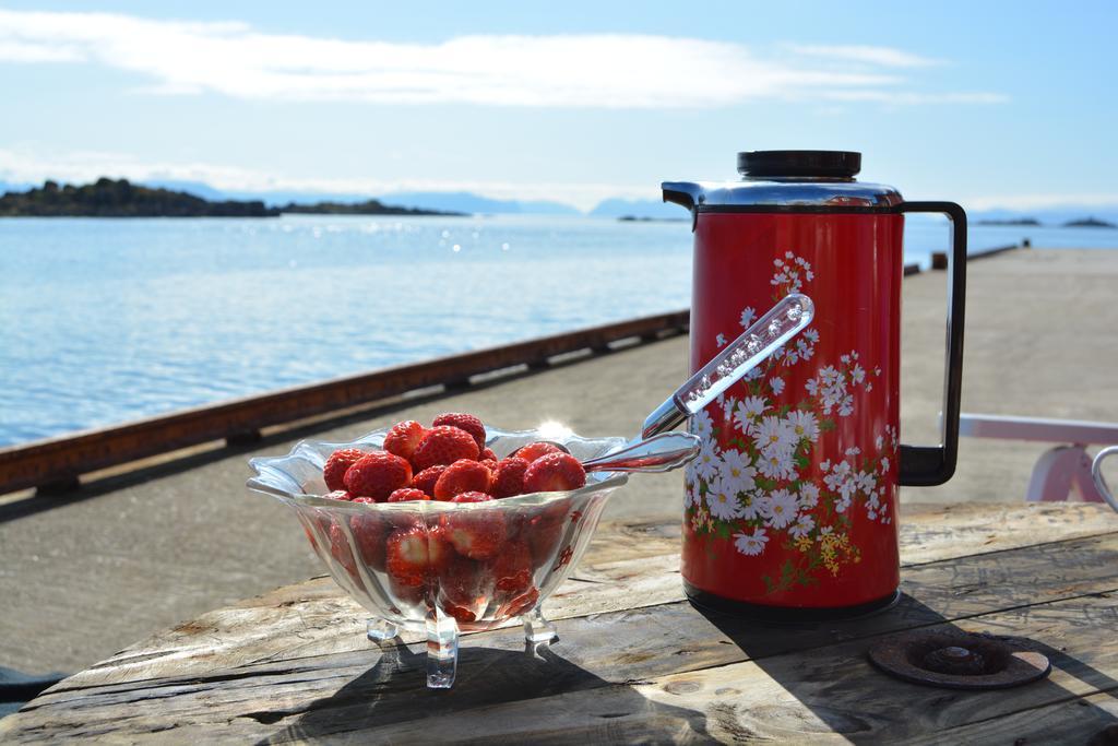 Skagakaia Hotell Bo i Vesteralen Exteriör bild
